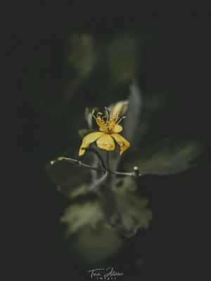 IMG_2216-Edit